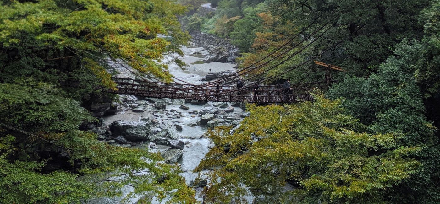 Image: The Iya-no-Kazura Bashi bridge is made of vines. (photo via Alex Temblador)