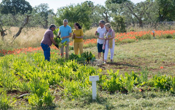The Travel Corporation sustainable excursion.
