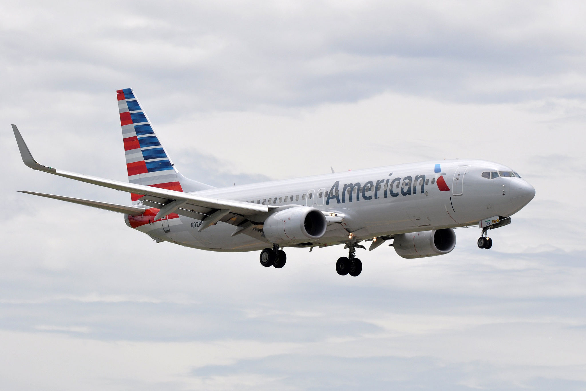 American airlines emotional support dog policy clearance