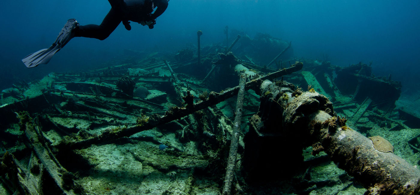 Image: Explore more under the sea in Cancun. (photo via ShaneGross / iStock / Getty Images Plus)
