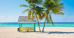 Caribbean beach with palm trees, Grand Cayman, Cayman Islands. (Photo via IreneCorti / iStock / Getty Images Plus)