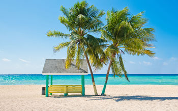 Caribbean beach with palm trees, Grand Cayman, Cayman Islands. (Photo via IreneCorti / iStock / Getty Images Plus)