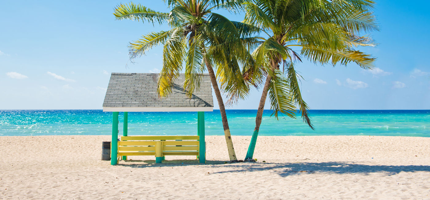 Image: PHOTO: Caribbean beach with palm trees, Grand Cayman, Cayman Islands. (Photo via IreneCorti / iStock / Getty Images Plus)