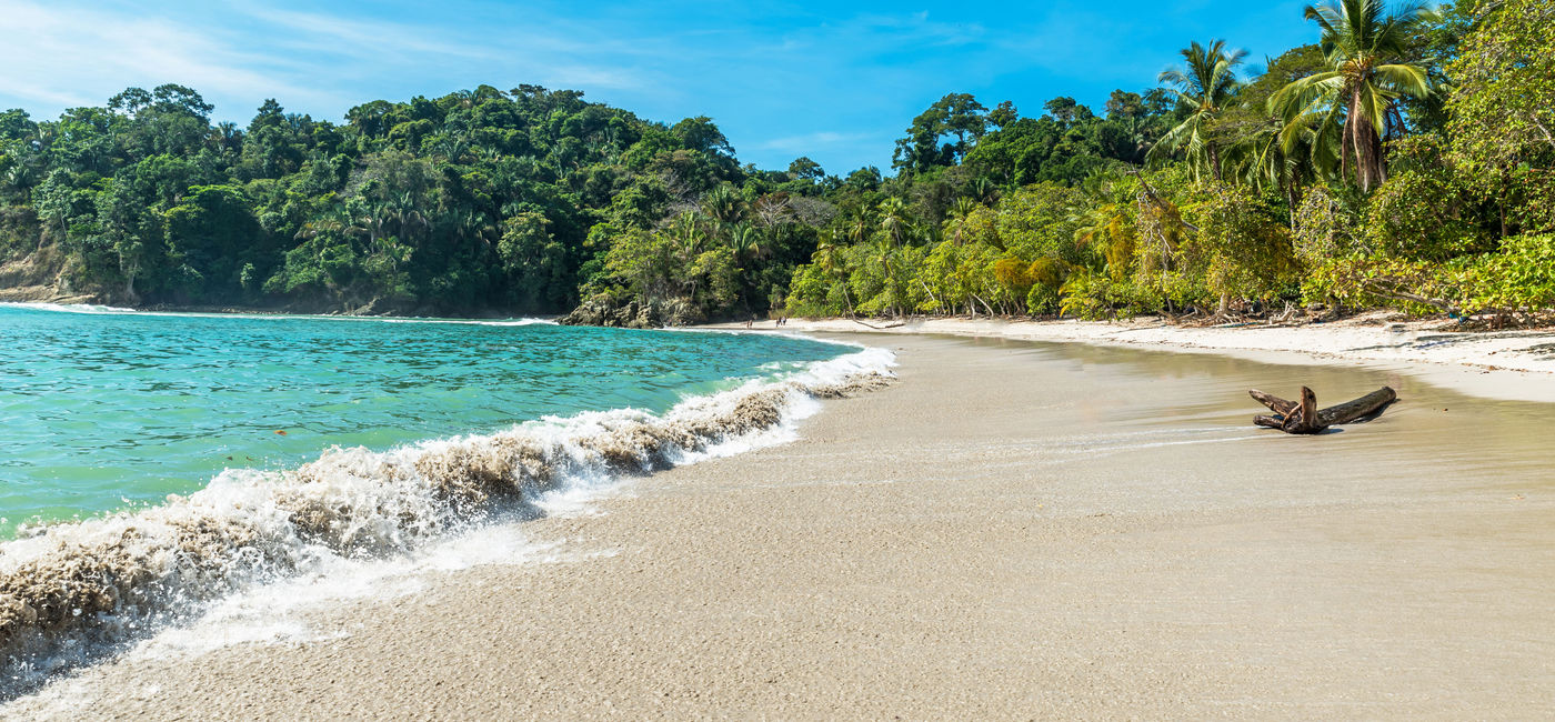 Image: Le parc national Manuel Antonio, au Costa Rica. (photo via SimonDannhauer / iStock / Getty Images Plus)