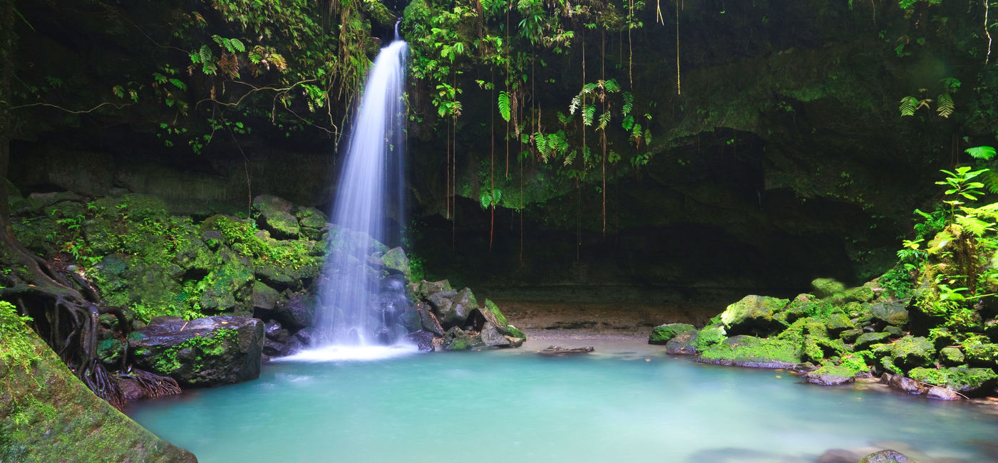 Image: FOTO: Alberca Esmeralda en la Isla Dominica, en la selva tropical. (Foto de johnandersonphoto / iStock / Getty Images Plus)