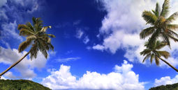 Beautiful beach in Dominica (photo via gydyt0jas / iStock / Getty Images Plus)
