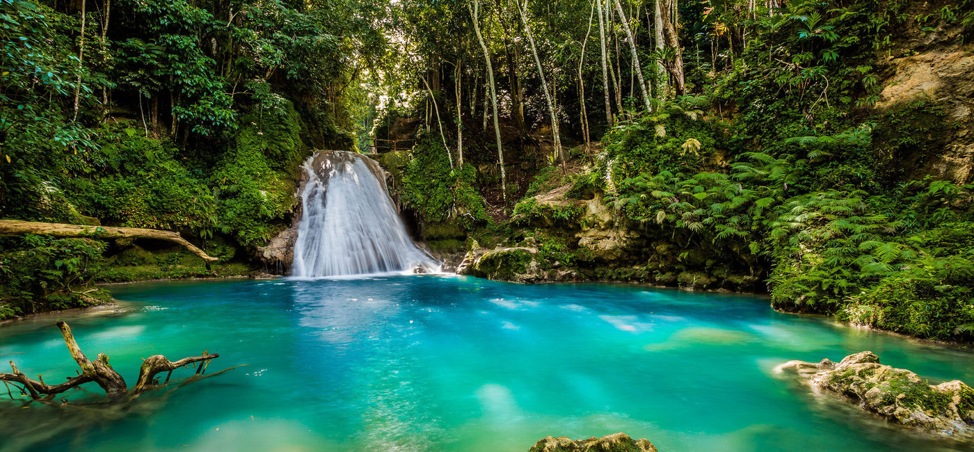 Image: Irie Blue Hole in Ocho Rios, Jamaica. (photo via GummyBone/iStock/Getty Images Plus) (GummyBone / iStock / Getty Images Plus)