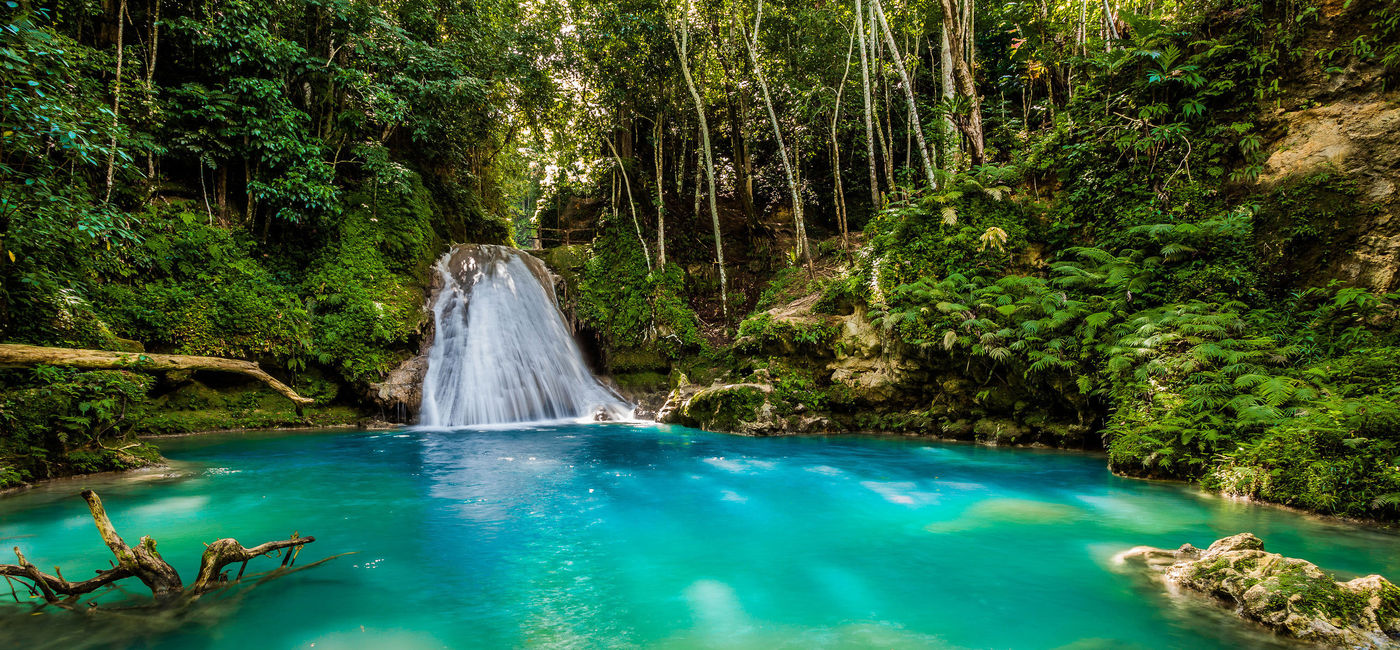 Image: Irie Blue Hole in Ocho Rios, Jamaica. (photo via GummyBone/iStock/Getty Images Plus) (GummyBone / iStock / Getty Images Plus)