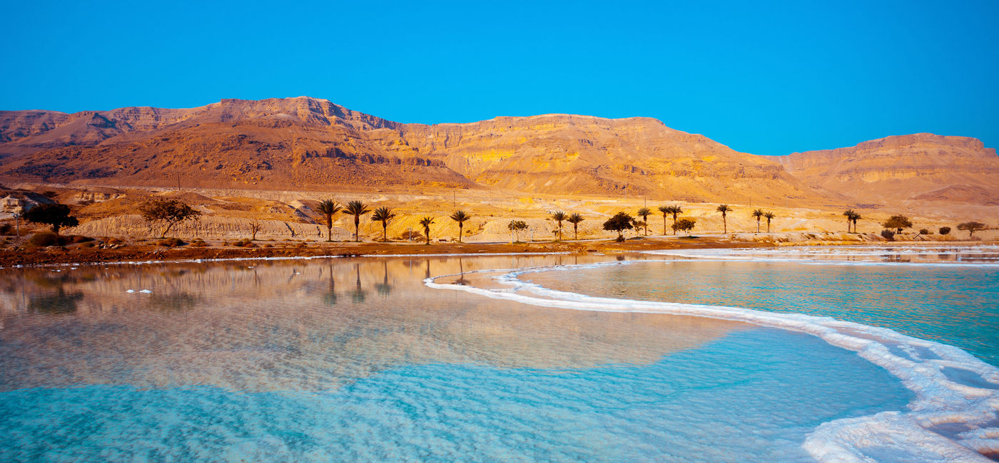 Image: Dead Sea seashore with palm trees and mountains on background (photo via vvvita / iStock / Getty Images Plus)