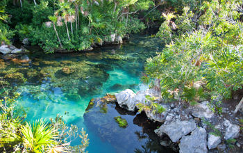 Cenote with beautiful turquoise water for snorkeling at Xel-Ha, Cancun. (Jonah_Photos / iStock / Getty Images Plus)