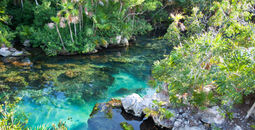 Cenote with beautiful turquoise water for snorkeling at Xel-Ha, Cancun. (Jonah_Photos / iStock / Getty Images Plus)