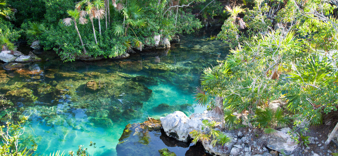 Image: PHOTO: Cenote with beautiful turquoise water for snorkeling at Xel-Ha. (Jonah_Photos / iStock / Getty Images Plus)