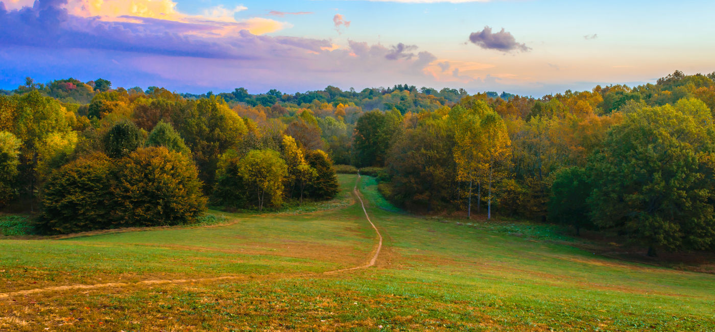 Image: Trail through Dog Hill at Cherokee Park in Louisville, Kentucky. (photo via Thomas Kelley/iStock/Getty Images Plus) (Thomas Kelley / iStock / Getty Images Plus)