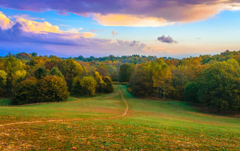 Trail through Dog Hill at Cherokee Park in Louisville KY. Cherokee Park is a Frederick Law Olmsted designed park. (Photo via Thomas Kelley / iStock / Getty Images Plus)