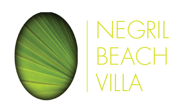 Negril Beach Villa