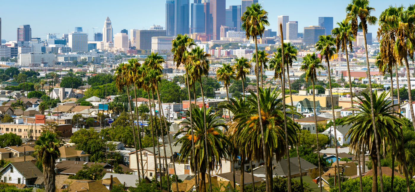 Image: Downtown Los Angeles, California skyline with palm trees in the foreground. (photo via choness/iStock/Getty Images Plus) (choness / iStock / Getty Images Plus)