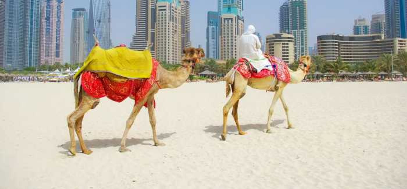 Image: Air Canada and flydubai have a new partnership that will give travellers better flying options between Canada, the Middle East, East Africa, Indian Subcontinent and Southern Asia. (Sceptre Vacations)