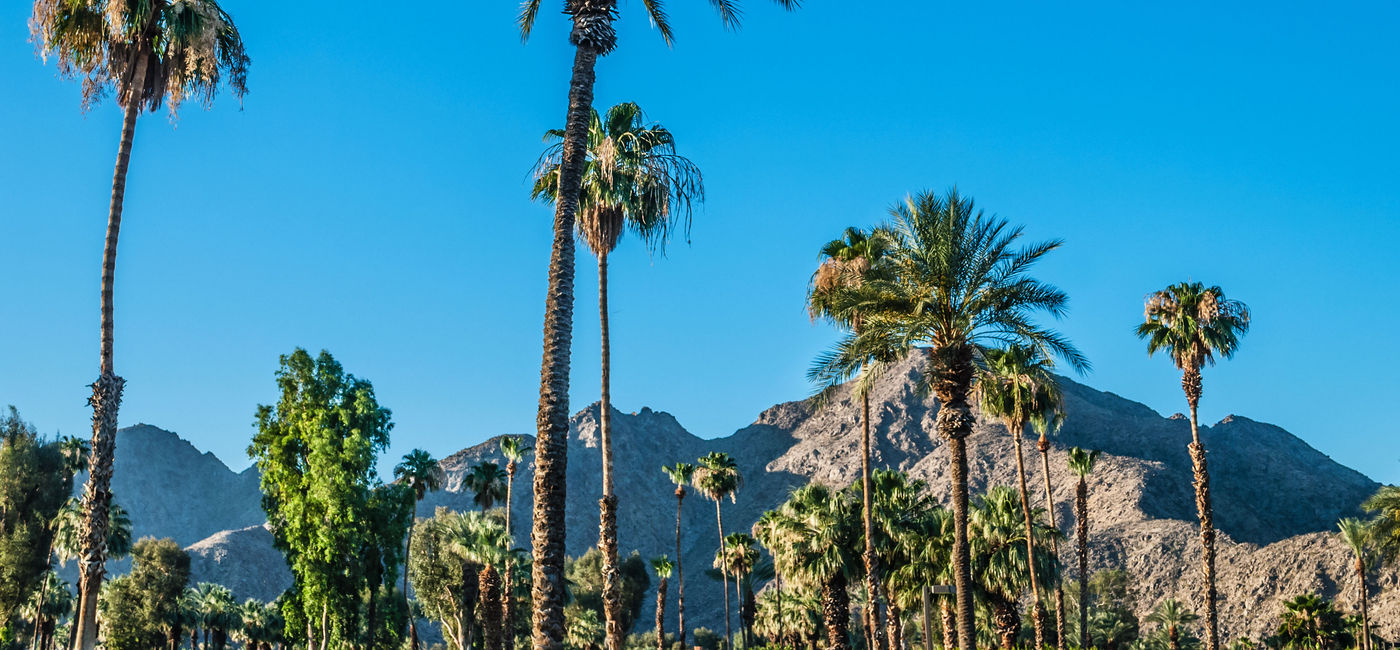 New Flights Land in Palm Springs TravelPulse