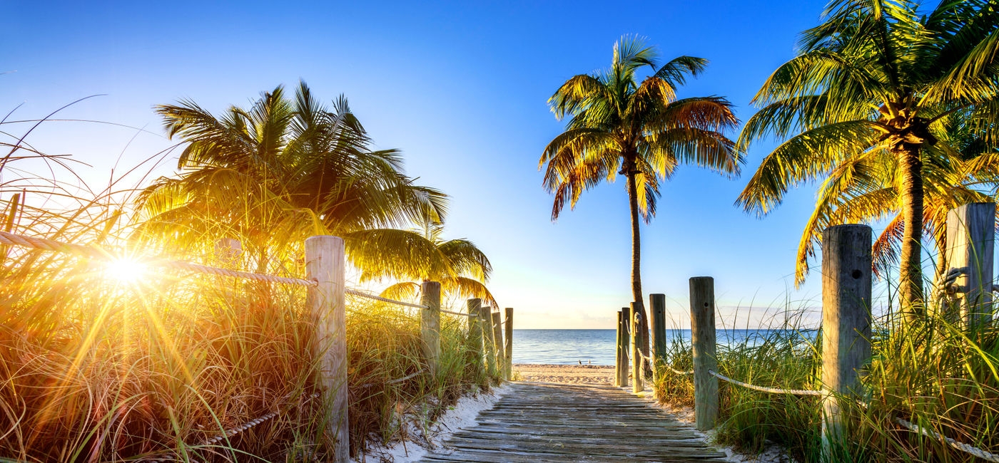 Image: PHOTO: Pathway to the beach in Florida. (photo via ventdusud/iStock/Getty Images Plus) (ventdusud / iStock / Getty Images Plus)