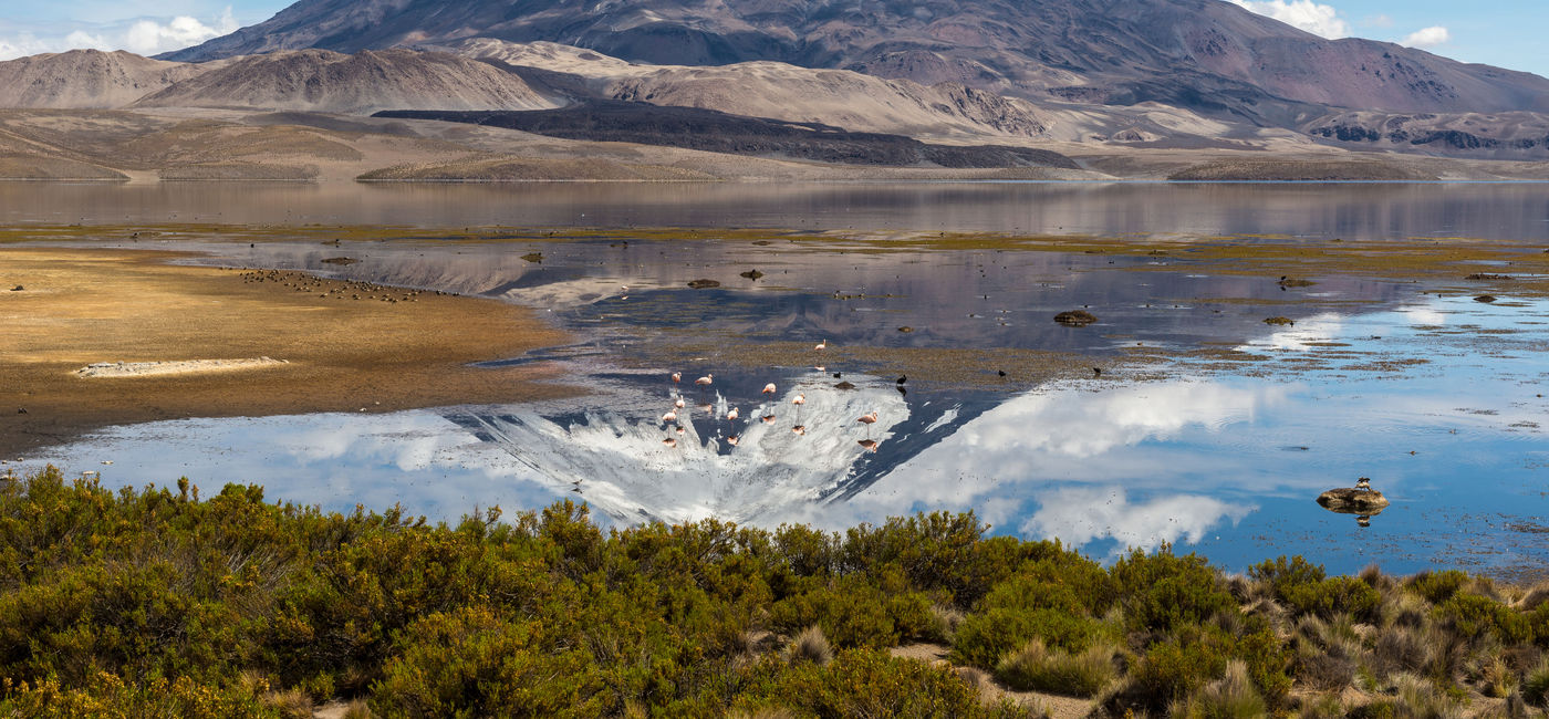 Image: Parinacota volcano and Chungara lake, Lauca National Park (Chile) (Photo Via AlbertoLoyo / iStock / Getty Images Plus)