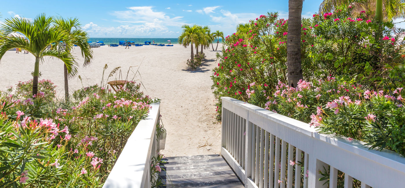 Image: PHOTO: Boardwalk on the beach in St. Petersbug, Florida. (photo via mariakraynova/iStock/Getty Images Plus) (mariakraynova / iStock / Getty Images Plus)