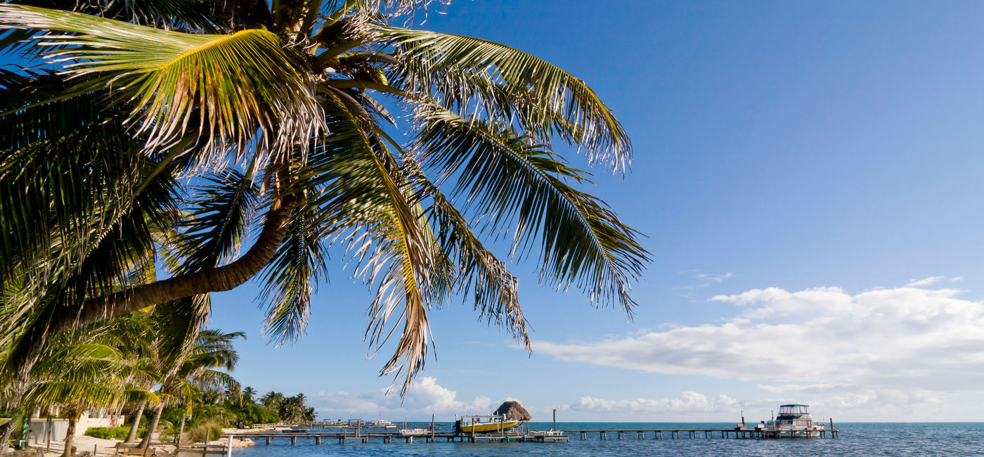 Image: Palm tree and dock in clear blue tropical water in Caye Caulker, Belize. (Photo via michalzak / iStock / Getty Images Plus)