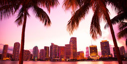 Miami Florida skyline and bay at sunset seen through palm trees (photo via littleny / iStock / Getty Images Plus)