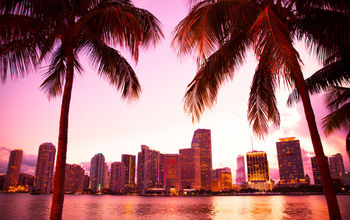 Miami Florida skyline and bay at sunset seen through palm trees (photo via littleny / iStock / Getty Images Plus)