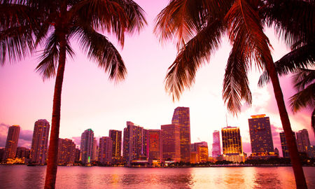 Miami Florida skyline and bay at sunset seen through palm trees (photo via littleny / iStock / Getty Images Plus)
