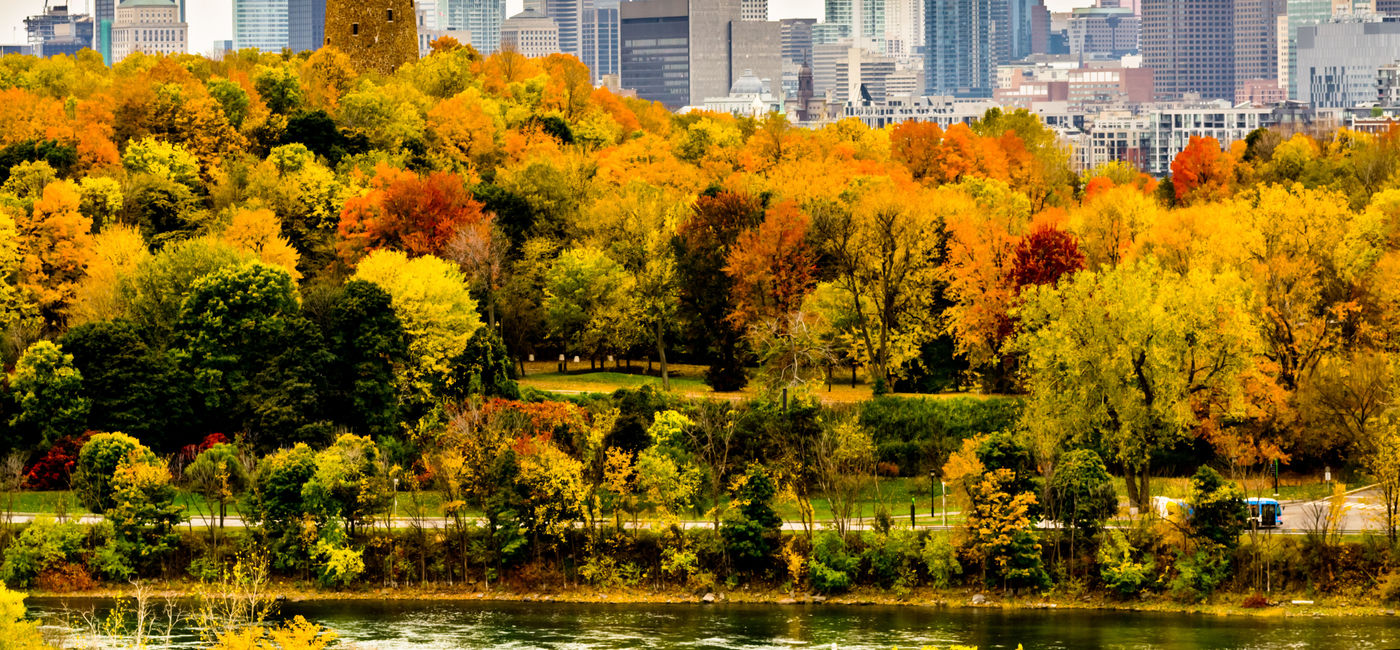 Image: PHOTO: Montreal downtown skyscrapers in autumn. (photo via jbd30 / iStock / Getty Images Plus)