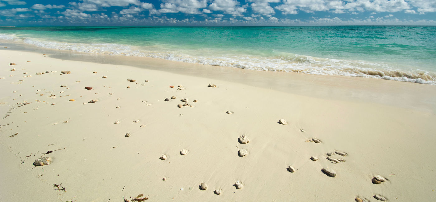 Image: Freeport beach on Grand Bahama Island (photo via 7Michael / iStock / Getty Images Plus)
