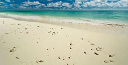 Freeport beach on Grand Bahama Island (photo via 7Michael / iStock / Getty Images Plus)