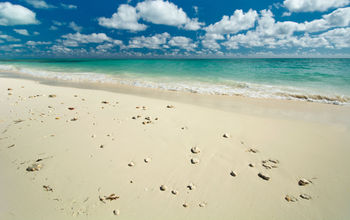 Freeport beach on Grand Bahama Island (photo via 7Michael / iStock / Getty Images Plus)