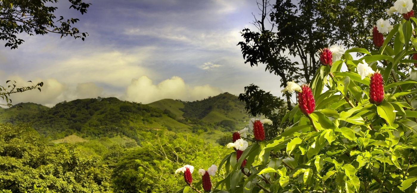 Image: PHOTO: Such destinations as Costa Rica are members of THE HUB. (photo via Collette) (Provided by Collette)