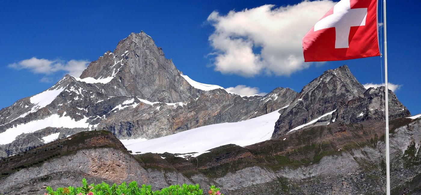 Image: Suisse (Provided by Collette)