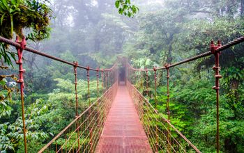 Tropical Costa Rica