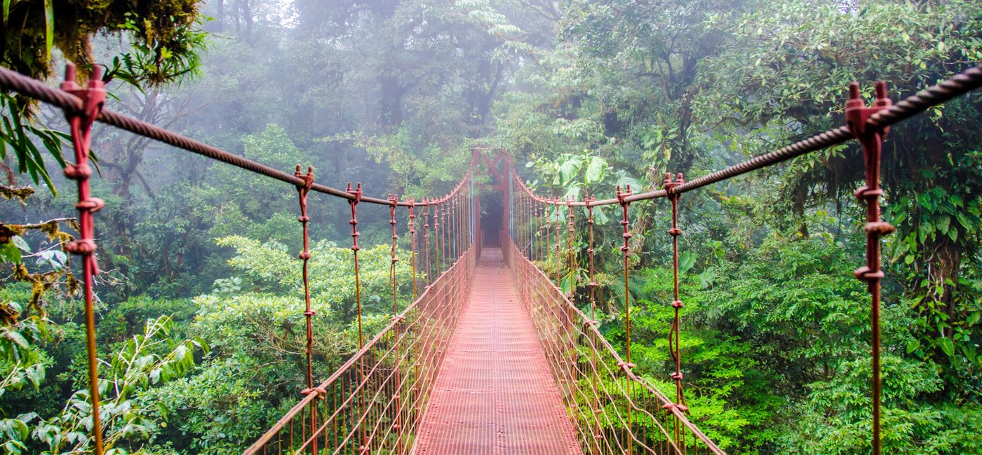 Image: Tropical Costa Rica (Provided by Collette)