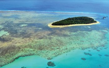 The Complete South Pacific
