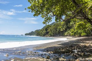 Costa Rica: El mundo natural con el Parque Nacional Tortuguero, el Volcán Arenal y el Parque Nacional Manuel Antonio