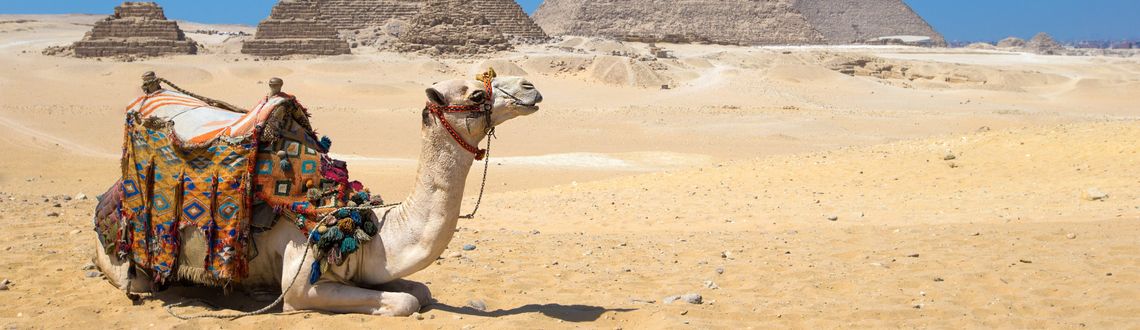 Egypt, Giza, camel, pyramids, desert, Middle East Treasures of Egypt