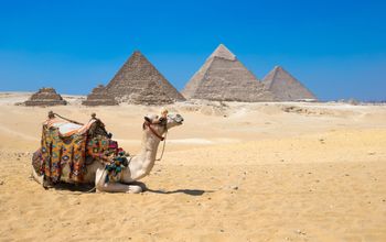 Treasures of Egypt