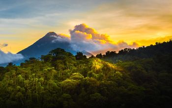 Tropical Costa Rica