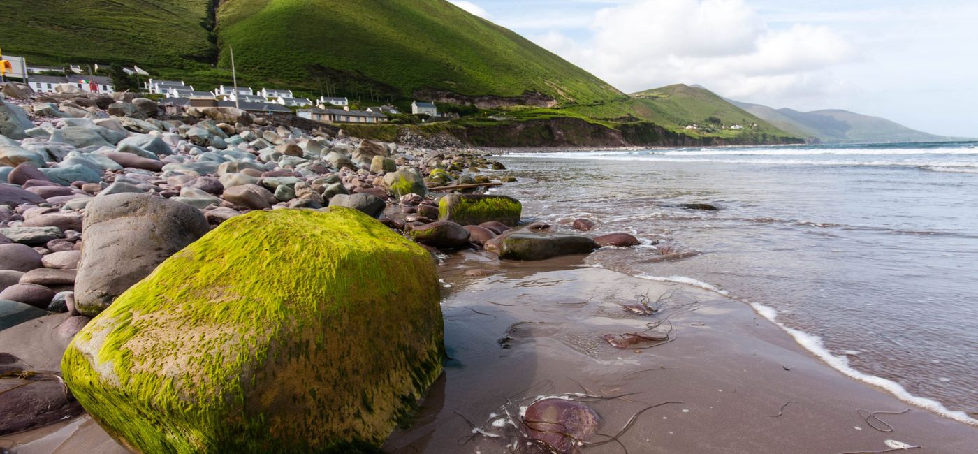 Image: The Best of Ireland (Provided by Collette)