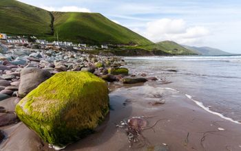The Best of Ireland featuring the Wild Atlantic Way