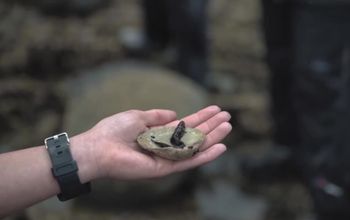 Alaska with UnCruise: Be Connected With Us!