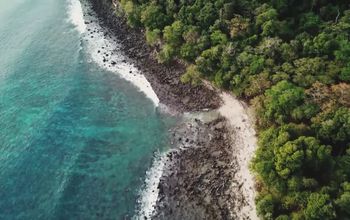 Tradewind Voyages: Book with Confidence