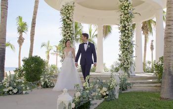Love Stories Begin in the Baja