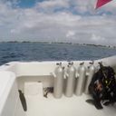 Immerse Yourself in the Cayman Islands