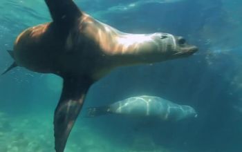 Explore Baja California Sur