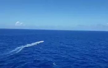 Regal Rescue at Sea